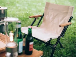 Luxury Low Beach Chair